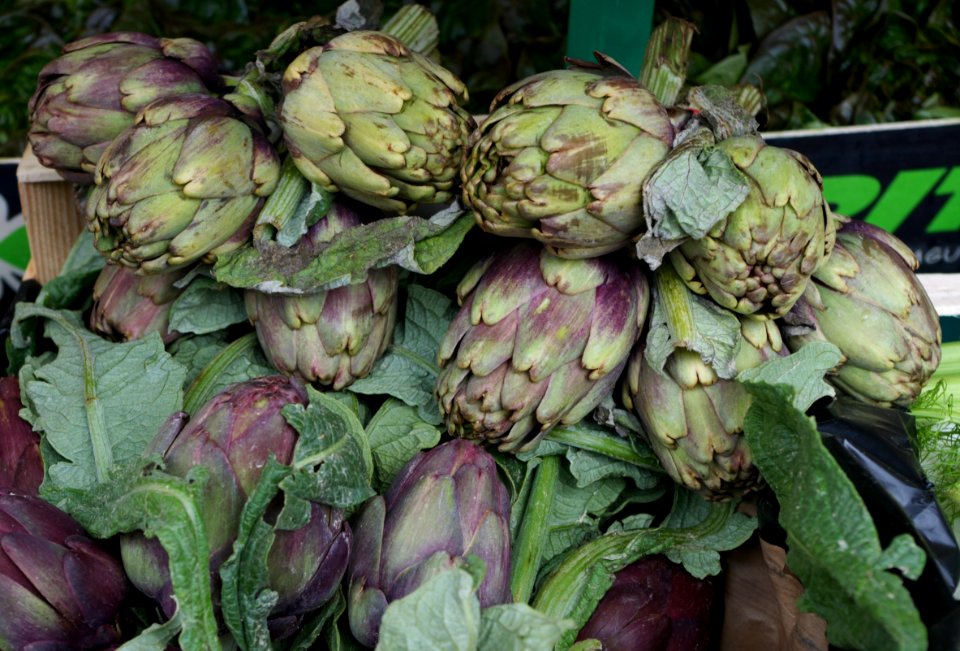 Artichauts au marché