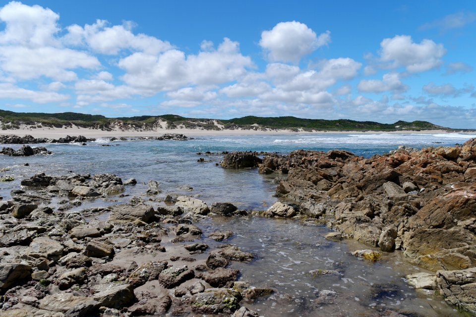 Arthur-Pieman Conservation Area, Tasmania 09