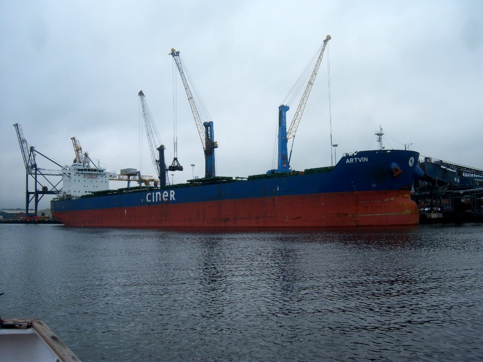 Artvin, River Tyne, 17 September 2014 (1)