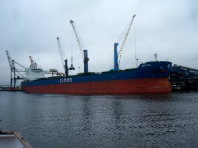 Artvin, River Tyne, 17 September 2014 (1)