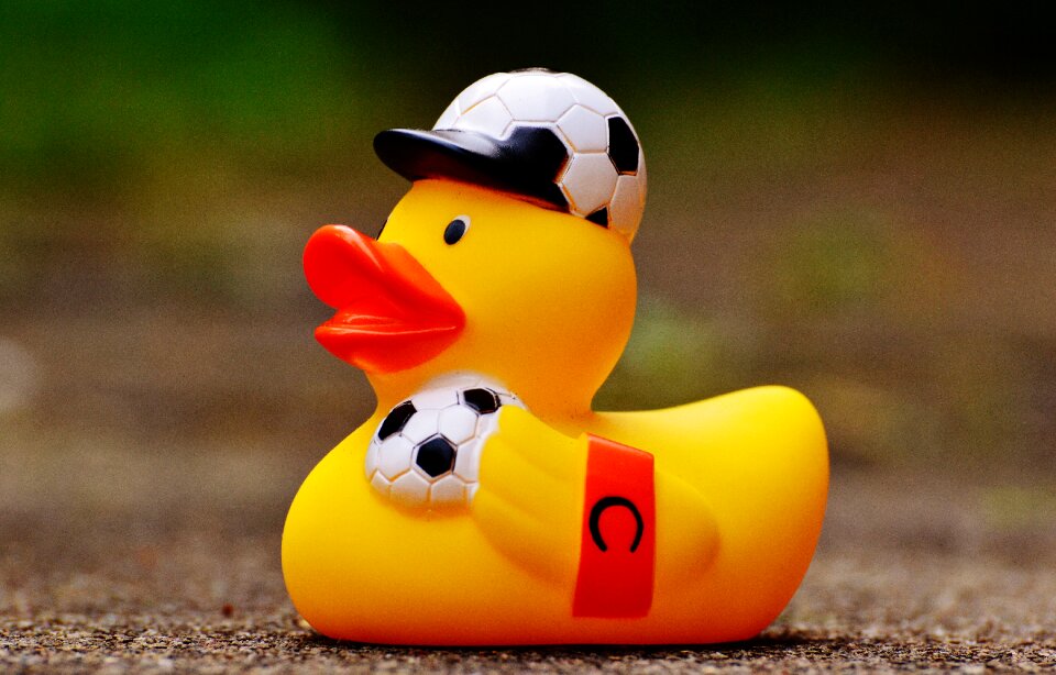 Summer bath duck 2016