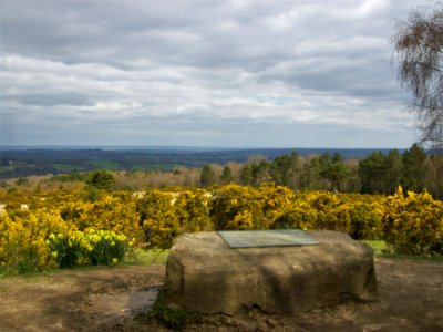 Ashdown Forest, Milne memorial, Gill's Lap 01
