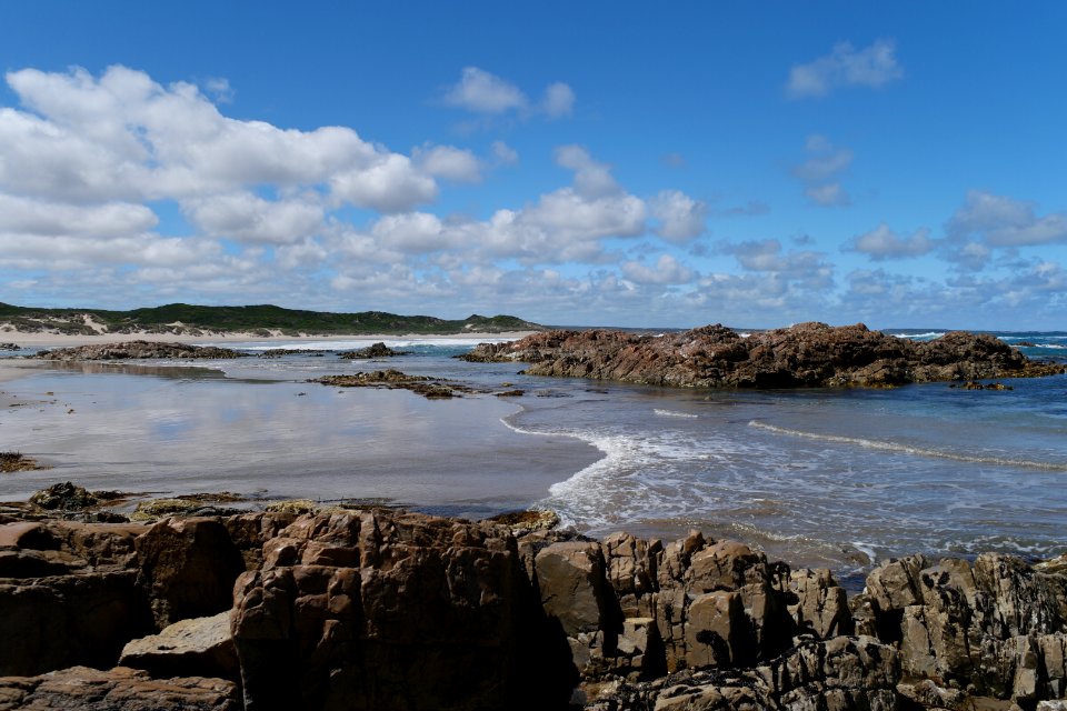 Arthur-Pieman Conservation Area, Tasmania 17