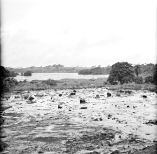 Asfaltveld op Trinidad, Bestanddeelnr 252-5369