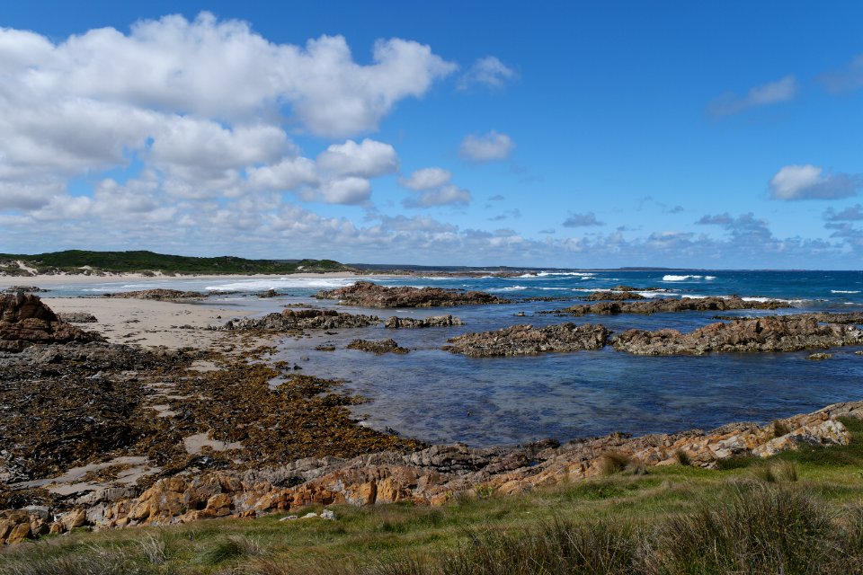 Arthur-Pieman Conservation Area, Tasmania 06