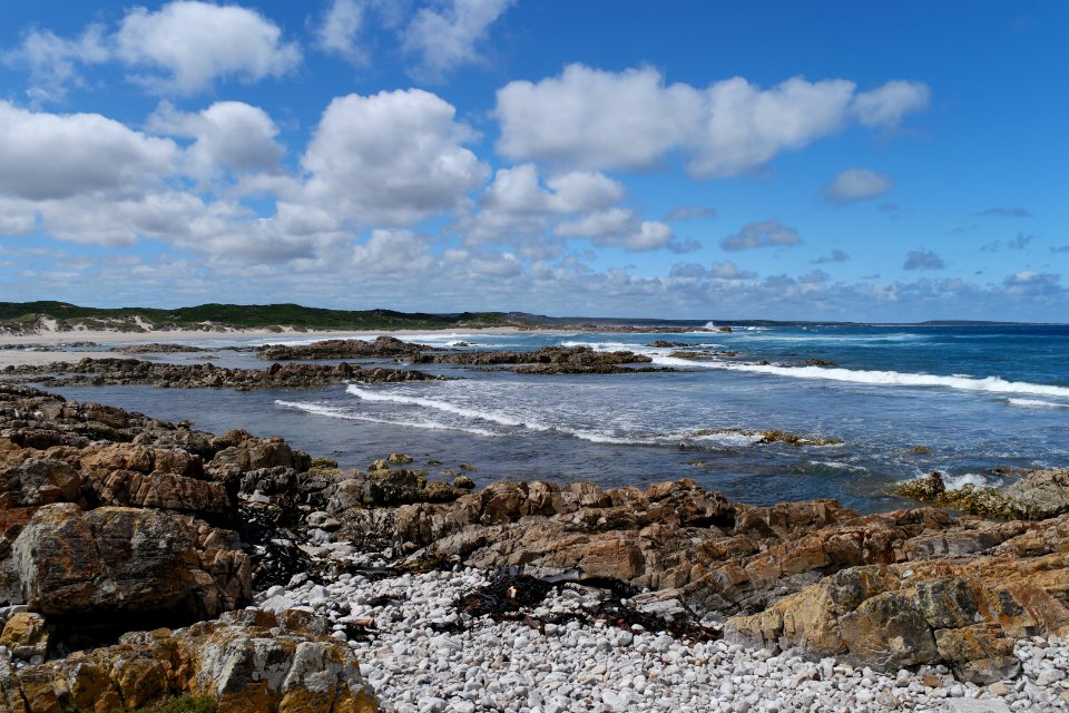 Arthur-Pieman Conservation Area, Tasmania 02
