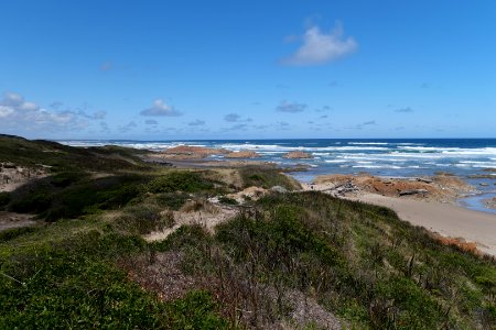Arthur-Pieman Conservation Area, Tasmania 25