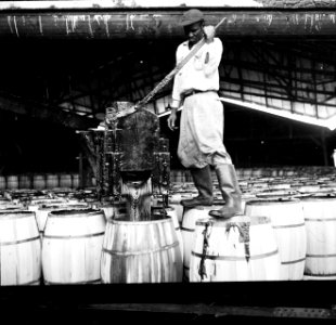 Asfaltfabriek op Trinidad, Bestanddeelnr 252-5326