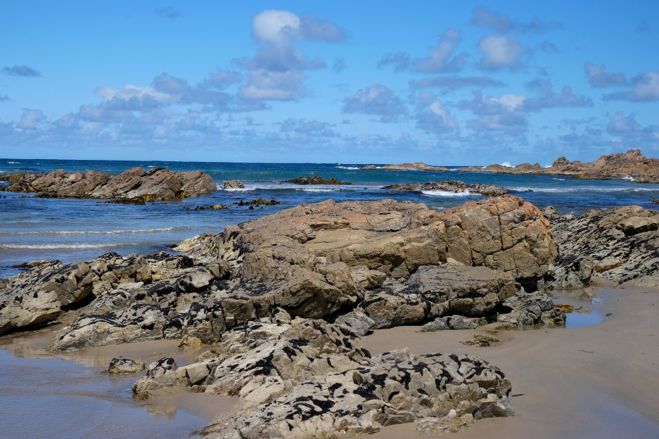 Arthur-Pieman Conservation Area, Tasmania 16