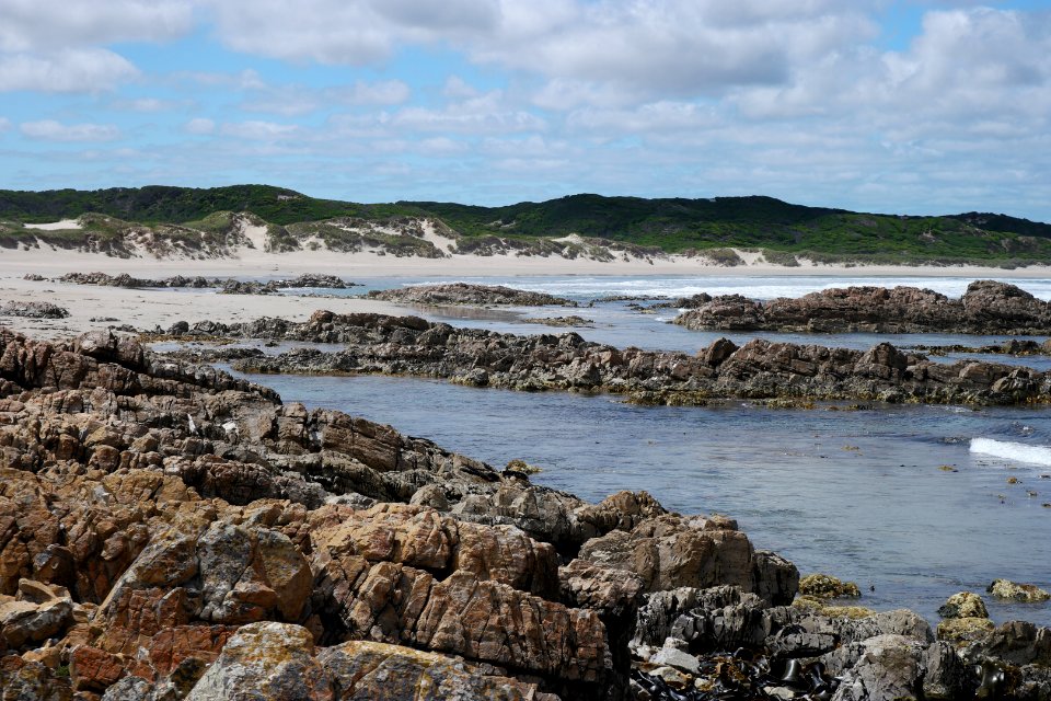 Arthur-Pieman Conservation Area, Tasmania 05