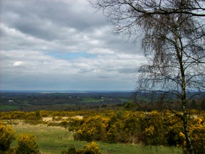 Ashdown Forest, from Gill's Lap