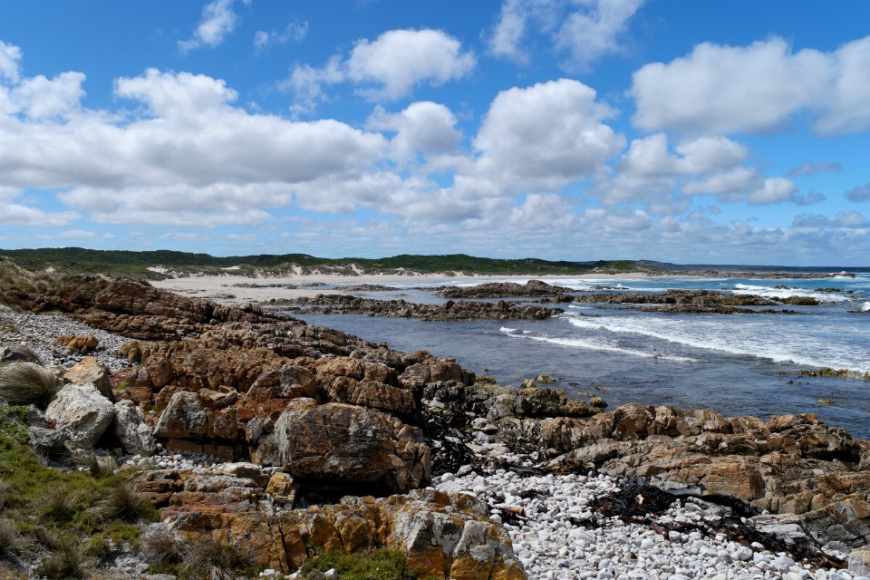 Arthur-Pieman Conservation Area, Tasmania 01