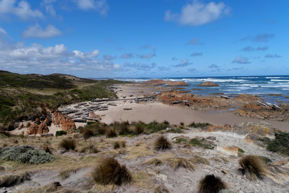 Arthur-Pieman Conservation Area, Tasmania 24