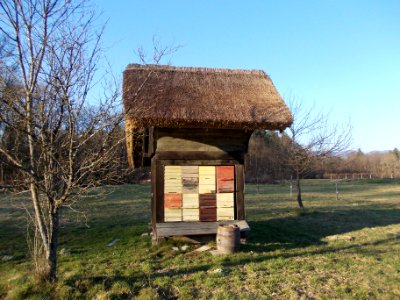 Artiče 23