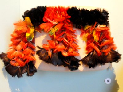 Armband, Munduruku people, macaw feathers - South American collection - Peabody Museum, Harvard University - DSC05697