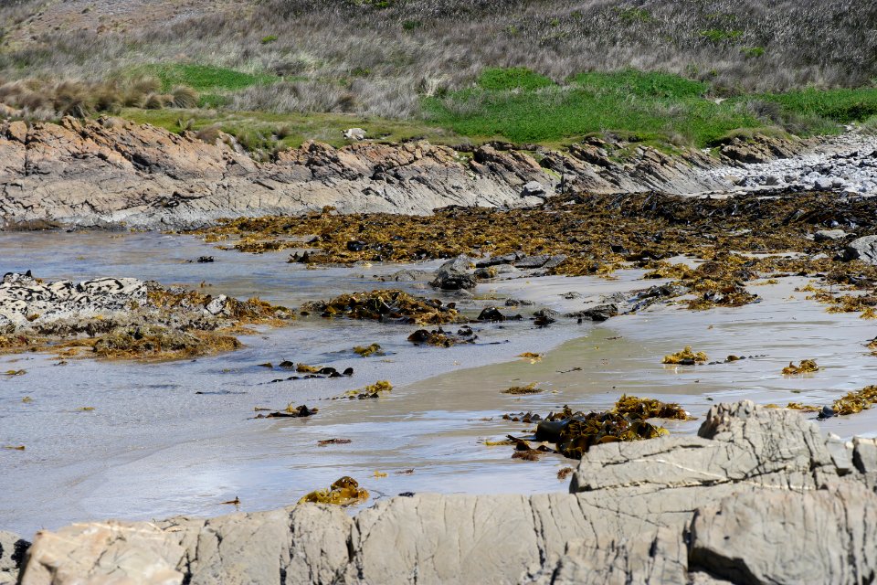 Arthur-Pieman Conservation Area, Tasmania 19