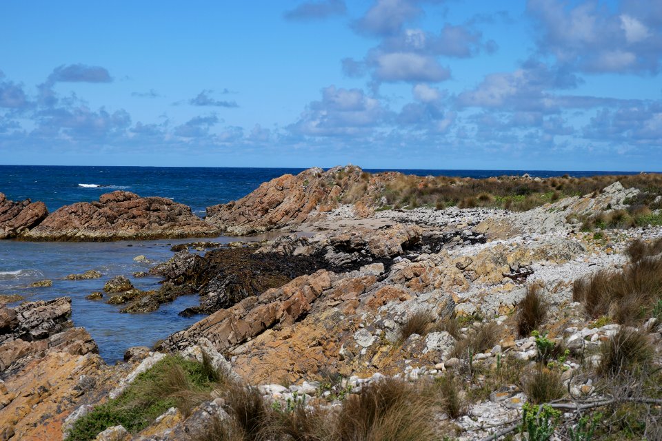 Arthur-Pieman Conservation Area, Tasmania 04