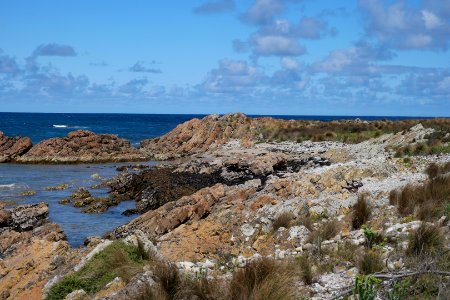 Arthur-Pieman Conservation Area, Tasmania 04