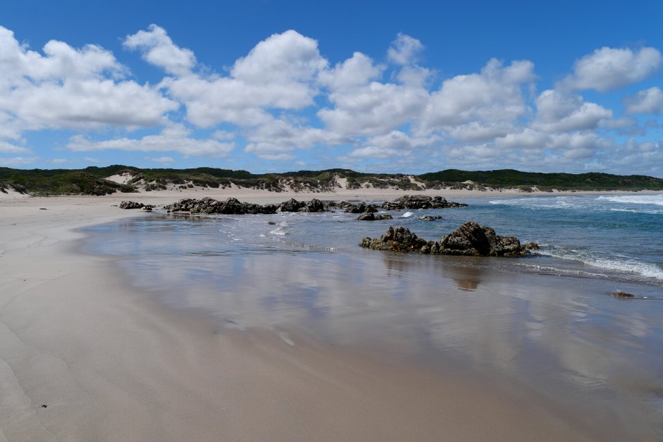 Arthur-Pieman Conservation Area, Tasmania 08