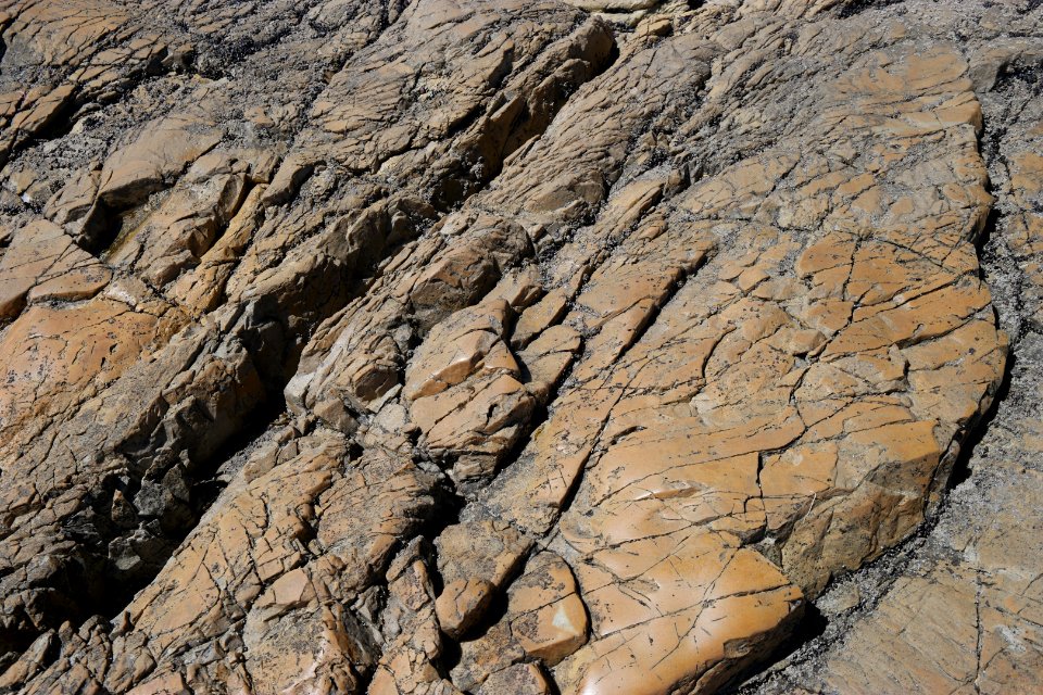 Arthur-Pieman Conservation Area, Tasmania 20