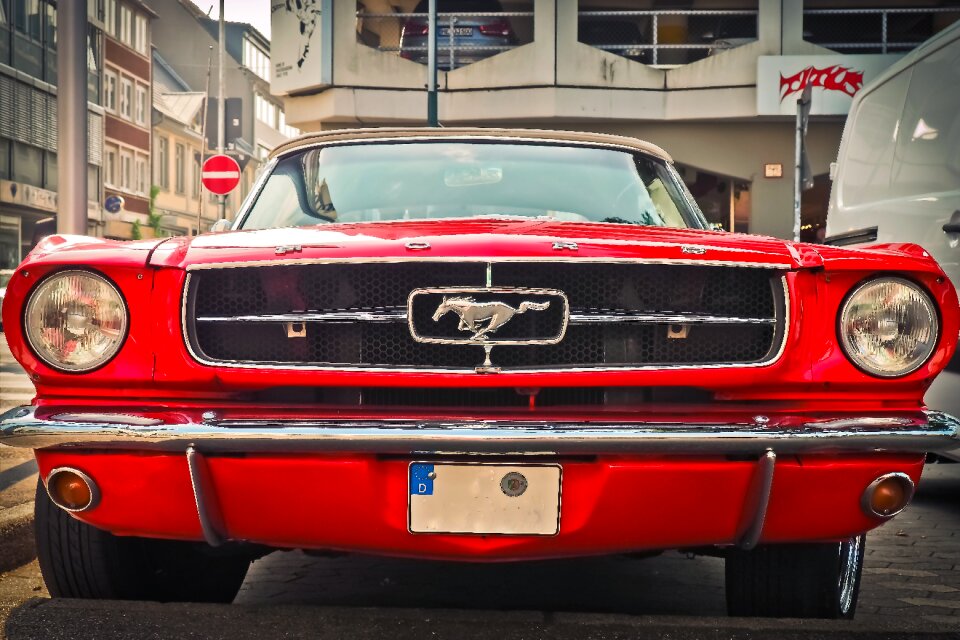 Automotive vehicle mustang