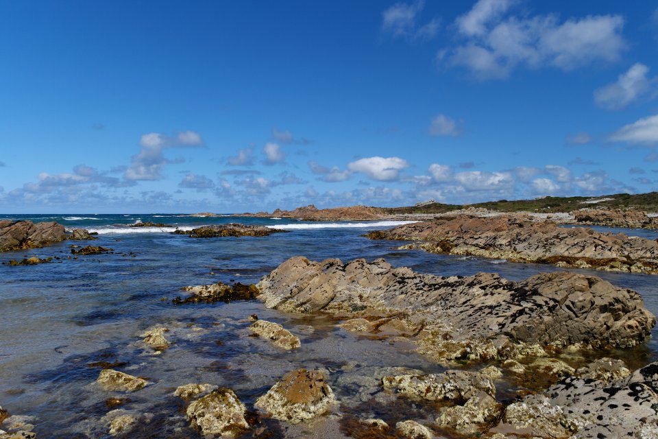Arthur-Pieman Conservation Area, Tasmania 18
