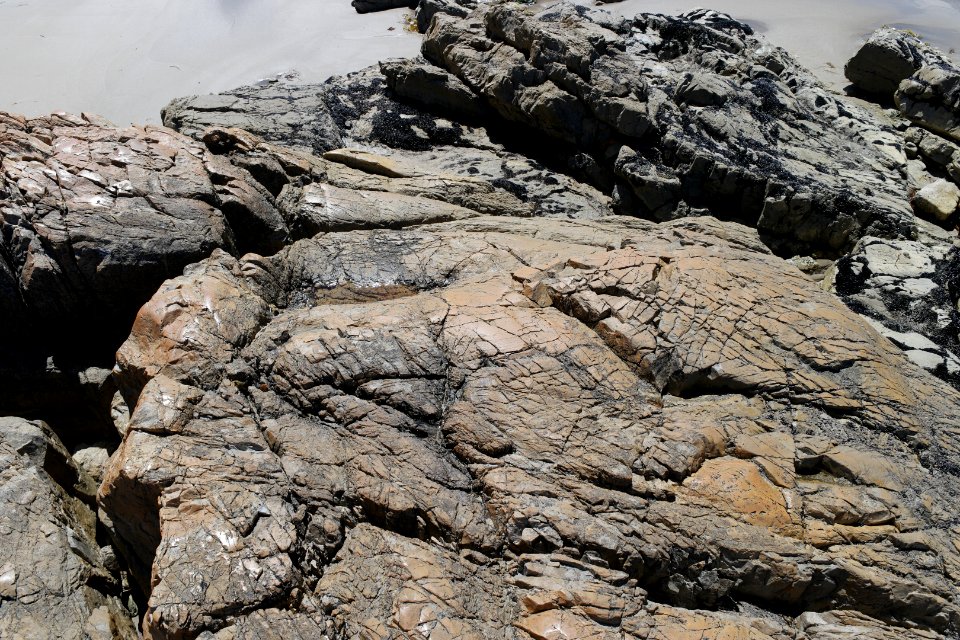 Arthur-Pieman Conservation Area, Tasmania 21