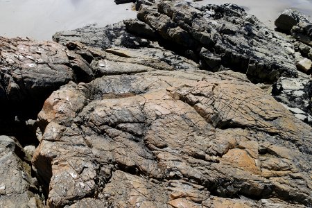 Arthur-Pieman Conservation Area, Tasmania 21