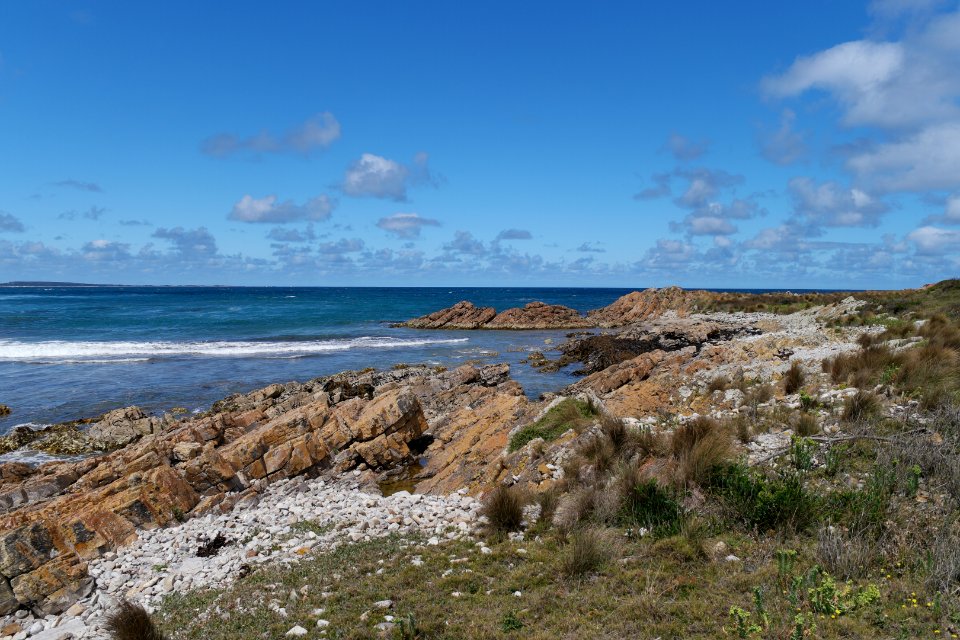 Arthur-Pieman Conservation Area, Tasmania 03