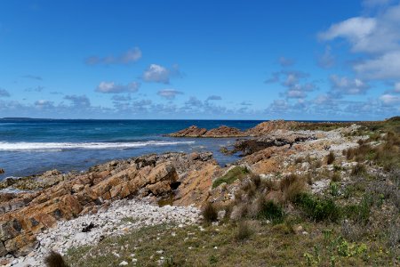 Arthur-Pieman Conservation Area, Tasmania 03