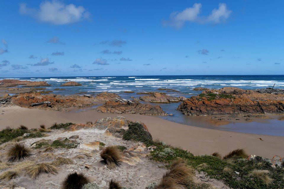 Arthur-Pieman Conservation Area, Tasmania 23