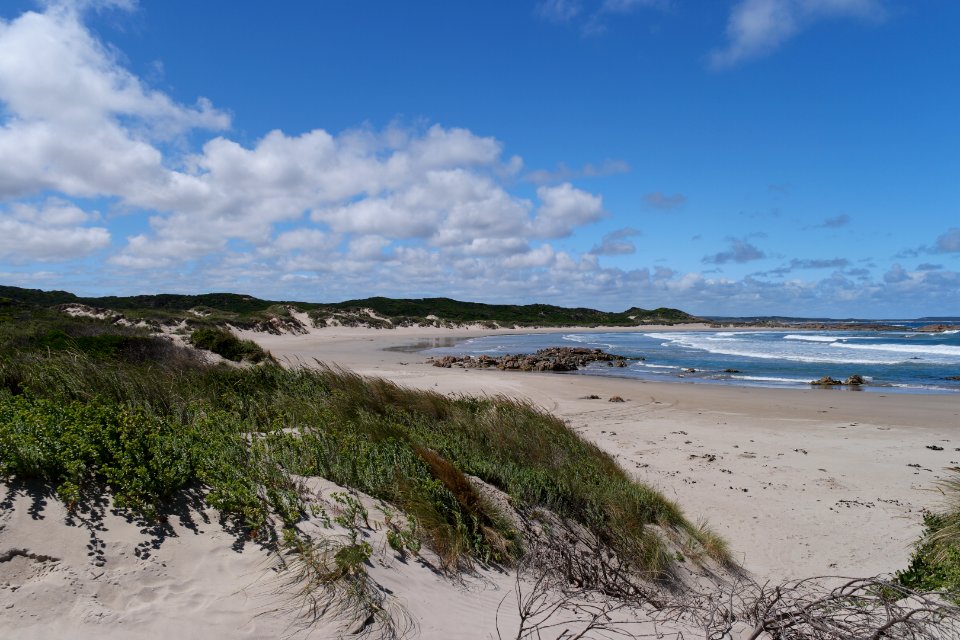 Arthur-Pieman Conservation Area, Tasmania 07