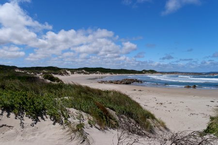 Arthur-Pieman Conservation Area, Tasmania 07