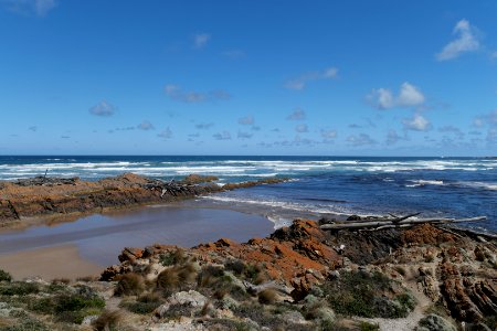 Arthur-Pieman Conservation Area, Tasmania 22