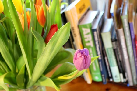 Flowers colourful books