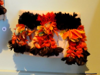 Armband, Munduruku people, macaw feathers - South American collection - Peabody Museum, Harvard University - DSC05703