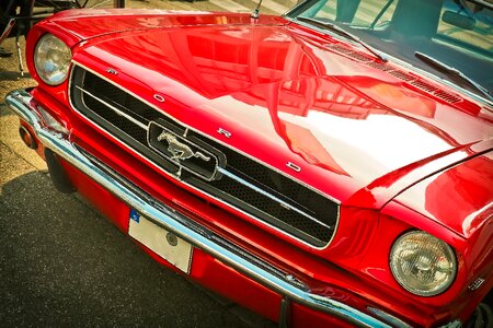 Automotive vehicle mustang photo