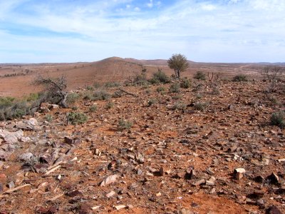 Arid zone scene, Australia photo