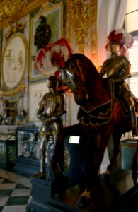 Armeria Reale Torino 22072015 17