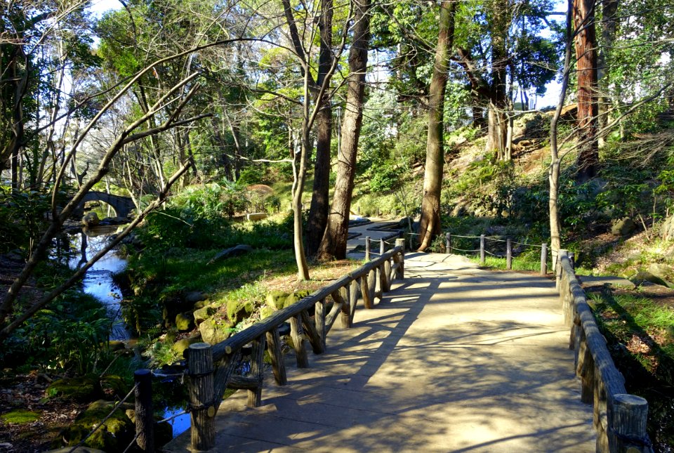 Arisugawa-no-miya Memorial Park - DSC06876