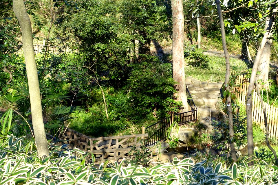 Arisugawa-no-miya Memorial Park - DSC06873