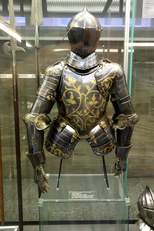 Armour 1591 (240537155)