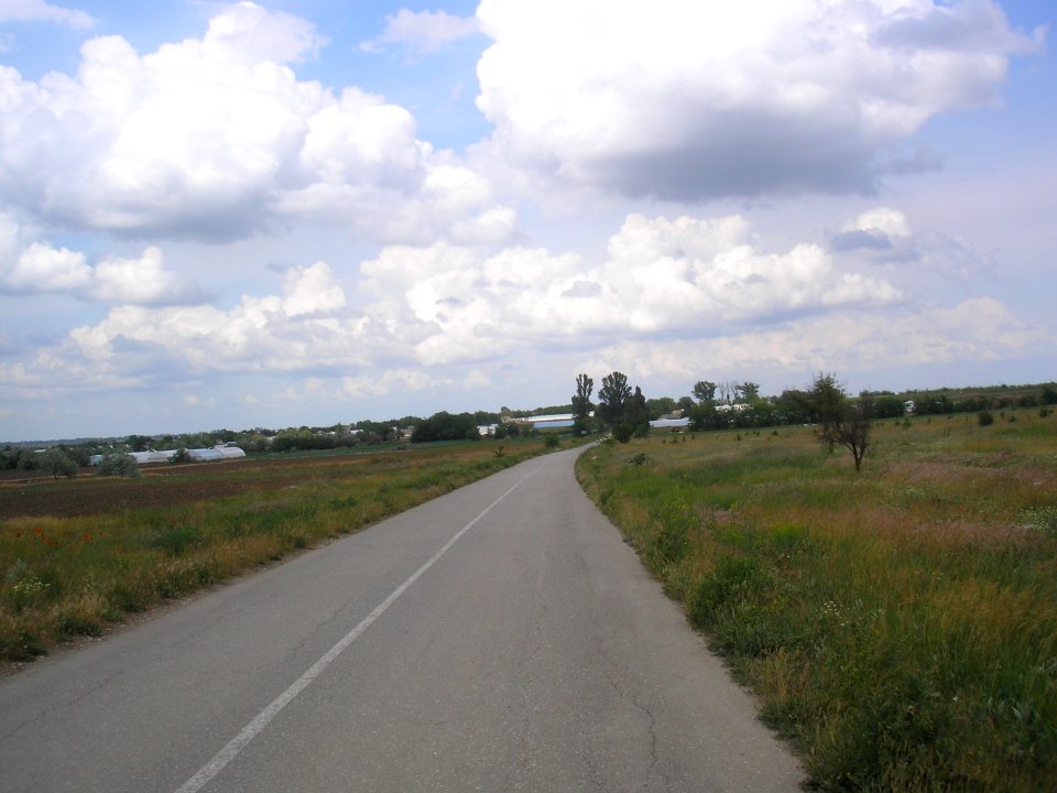 Armeyskoe 3