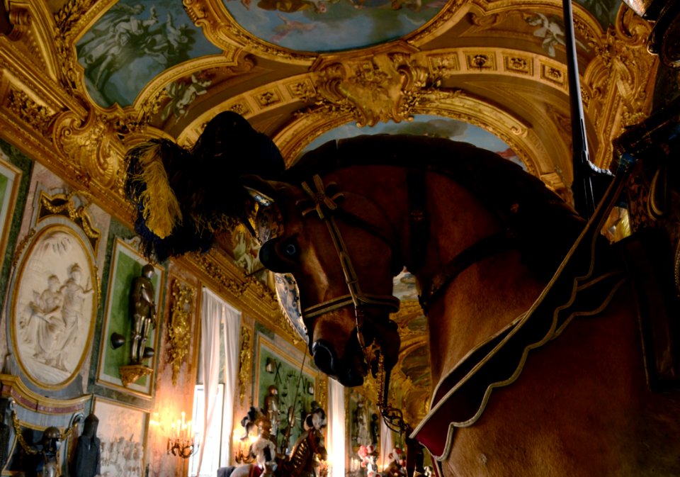 Armeria Reale Torino 22072015 15