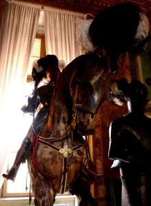 Armeria Reale Torino 22072015 05