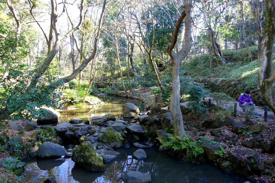Arisugawa-no-miya Memorial Park - DSC06887