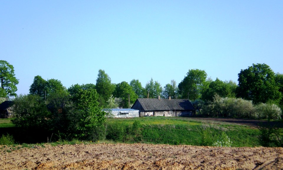 Aristavėlė1