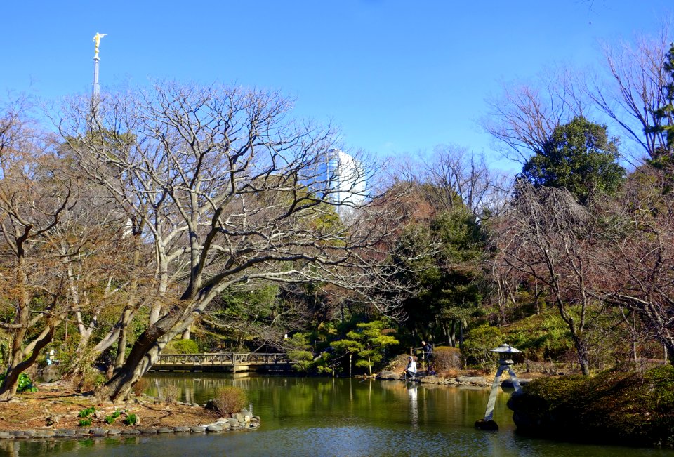 Arisugawa-no-miya Memorial Park - DSC06934