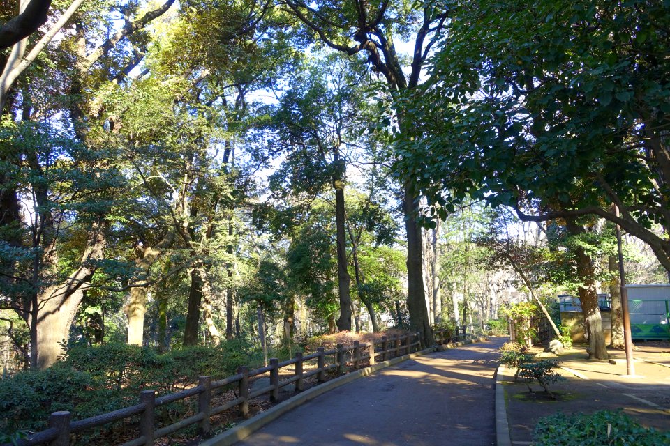 Arisugawa-no-miya Memorial Park - DSC06863