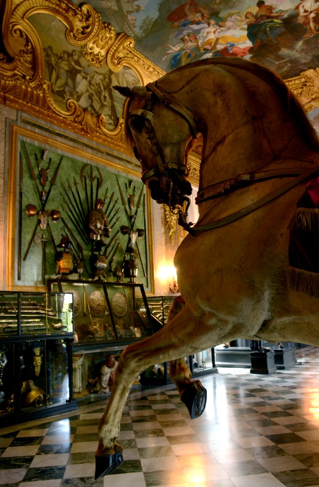 Armeria Reale Torino 22072015 14